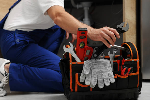 Best Plumbing Inspection Services  in Emmon, AK